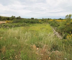 Zemědělská půda 760 m²