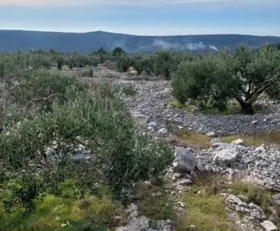 Rogoznica, Podorljak, terreno agricolo di 6500 m2, a 500 m dall'autostrada