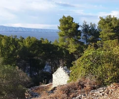 Korčula, Vela Luka, terreno edificabile 1964 m2, prima fila sul mare