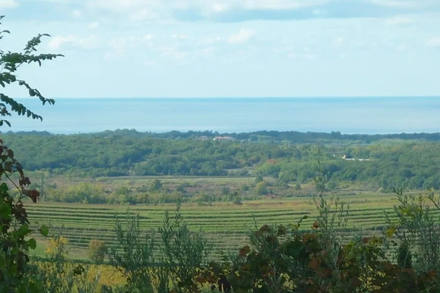 Istria, Buje: Attraente terreno edificabile con vista