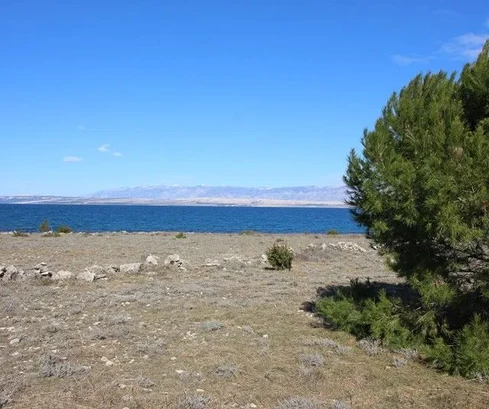 Terreno agrícola en las inmediaciones del mar