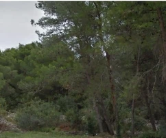 Čiovo, Okrug G., Baugrundstück 350 m vom Meer und Strand entfernt