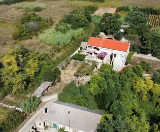 Rodinná nehnuteľnosť s pekným olivovým hájom a vinicou