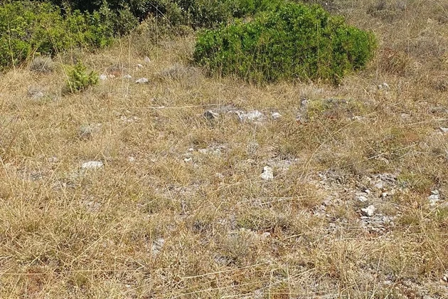 Terrain agricole 3409 m², 12 € / m² Skalinice