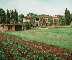 Lussuosa villa in pietra con piscina in vendita a Kanfanar in Croazia