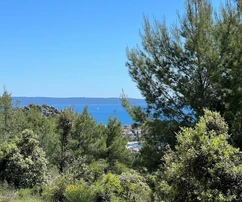 <p>Marina, Vrsine, zemědělská půda 7679 m2, 750 m od moře</p>