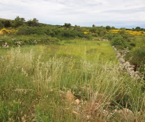 Terrain agricole 760 m²