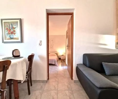 Vir, 100 m from the sea - house with 4 apartments and sea view