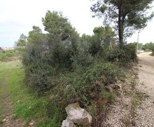 Pozemek pod UPU plánem 80€/1m2