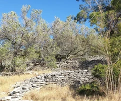 Korčula, Vela Luka, Baugrundstück 1964 m2, erste Reihe zum Meer
