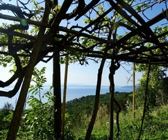Tenuta con oggetti d'antiquariato in vendita vicino a Opatija in Croazia