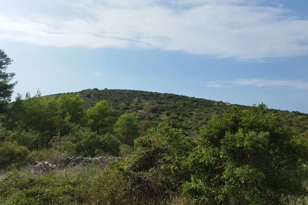 Trogir-Surroundings, Drvenik Mali, agricultural land, 140m from the sea