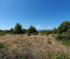 Terreno agricolo con accesso tramite strada asfaltata