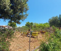 Terreno fuera de la zona de construcción con estructuras legalizadas