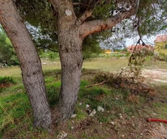 Côté sud de l'île de Vir, terrain constructible 616 m²