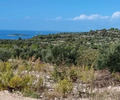 Rogoznica, agricultural land 8000m2, 1000m from the sea, 80 olive trees