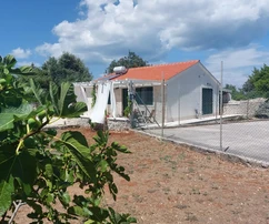 Isola di Brač, Škrip, casa con terreno