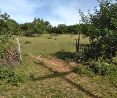 <p>Terreno agrícola en venta en Višnjan, Poreč – ideal para diversos usos.</p>