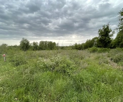 Istrien, Sveti Lovrec: Baugrundstück in der Nähe von Porec