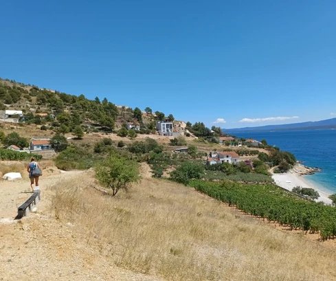 Brač, Nerežišća, terreno edificabile 1307 m2, a soli 130 m dal mare