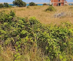 Landwirtschaftliches Grundstück in einer Wohnstraße, grenzt an Häuser.