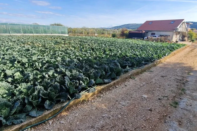 Trogir, Divulje, terrain agricole de 751 m2, à seulement 120 m de la mer
