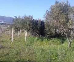 K. Štafilić, terrain constructible de 1325 m2 en zone M5, à 150 m de la mer