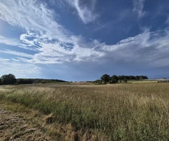 Istria, Kastelir: Agricultural land with forest 24,118 m²