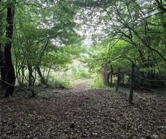 Pozemok Kaštelir, Kaštelir-Labinci, 32&nbsp;619&nbsp;m2