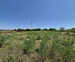 Grundstück Cancini, Poreč, 1.471m2