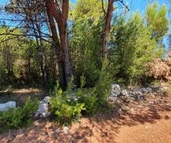 Terrain hors zone constructible