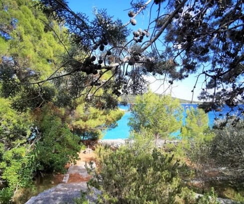 Rogoznica Casa al mare in vendita con spiaggia privata