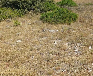 Terreno agricolo 3409 m², 12 € / m² Skalinice
