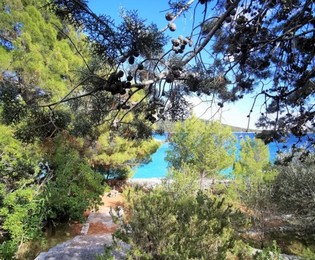 Rogoznica – rodinný dom pri mori s vlastnou plážou na predaj