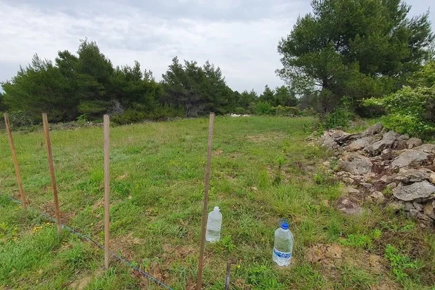 Poľnohospodárska pôda, 899 m²