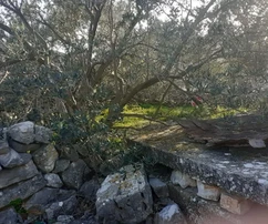 Marina, Vinišće, altes Steinhaus 280 m2 auf einem Grundstück von 800 m2