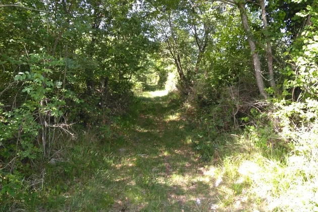 <p>Na prodej zemědělská půda ve Višnjan, Poreč – ideální pro různé účely!</p>