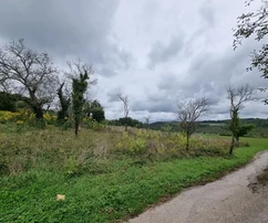Pazin, Istria: Building plot with project near center