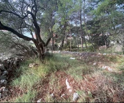 Land near the sea - Rogoznica