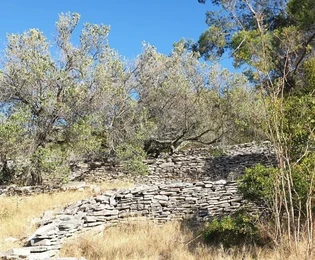 Korčula, Vela Luka, Baugrundstück 1964 m2, erste Reihe zum Meer
