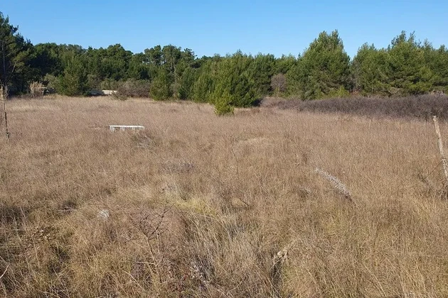 Terrain cultivable avec deux voies d'accès