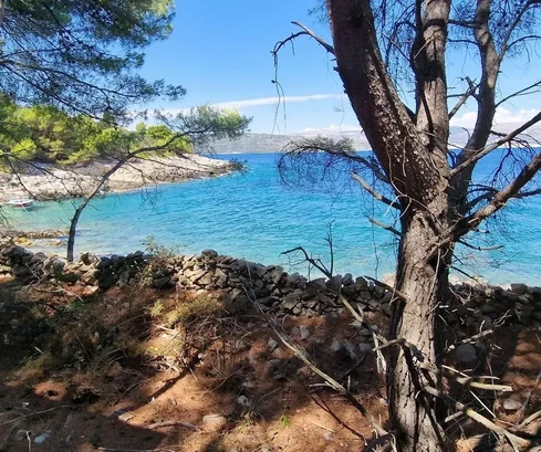 Drvenik Veli, terreno agricolo 1300 m2, PRIMA FILA SUL MARE!