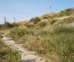 Sprzedaż działki Plano 6000 m2