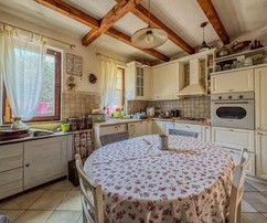 Two homes with a pool and landscaped yard available for purchase in Croatia