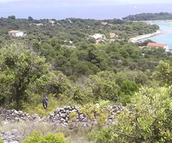 Drvenik Veli, terreno agrícola de 4000 m2, cerca del mar