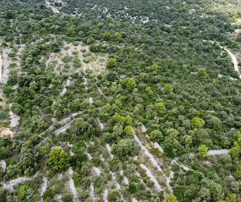 <p>Vinišće, terrain agricole de 1523 m², route d'accès, à 500 m de la mer</p>