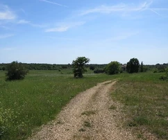 Domaine en pierre à vendre près de Rovinj en Croatie