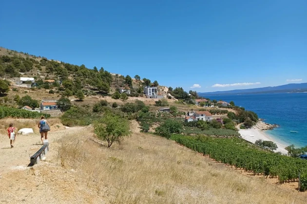 Brač, Nerežišća, działka budowlana 1307 m2, tylko 130 m od morza