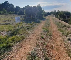 Poľnohospodárska pôda