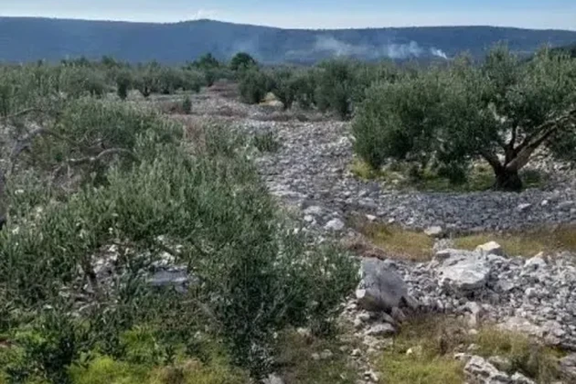 Rogoznica, Podorljak, agricultural land 6500m2, 500m from the highway